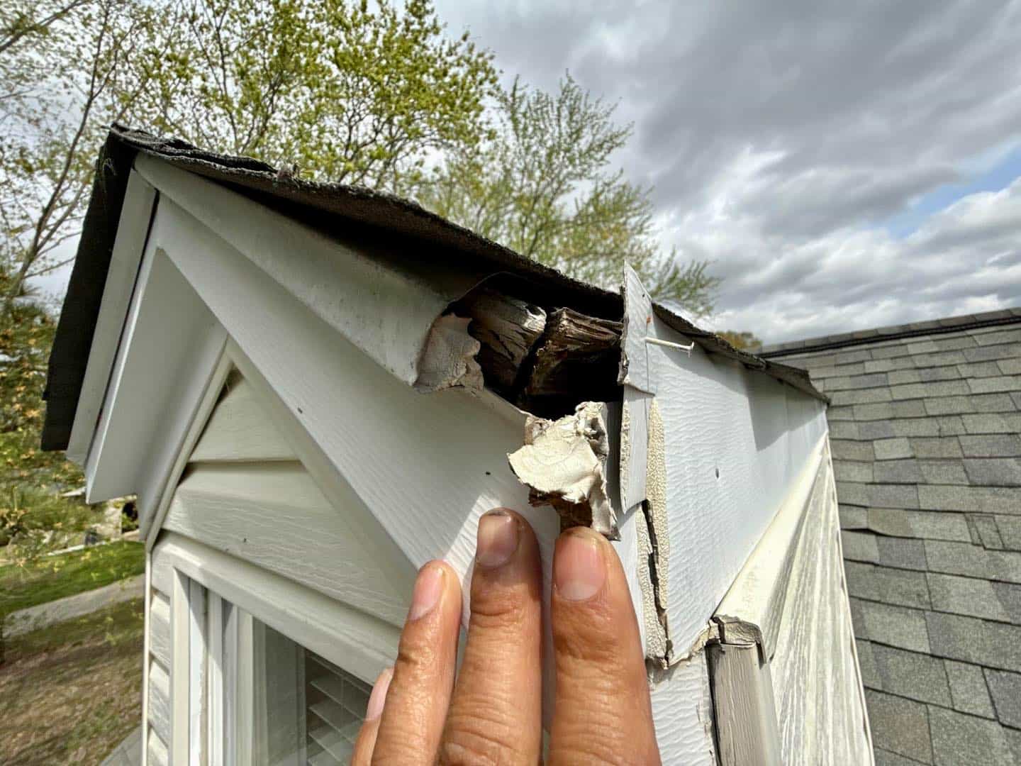 Roof Inspection